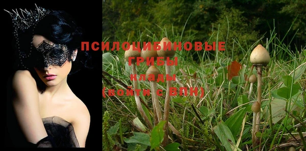 спайс Алексеевка